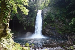 浄蓮の滝